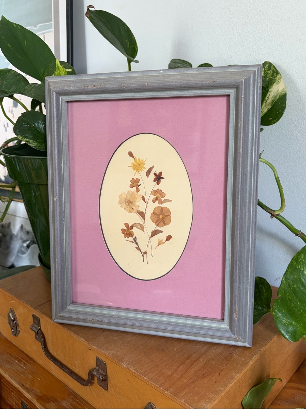 Vintage Hand Made Pressed Flower Art in Gray Frame with Pink Mat